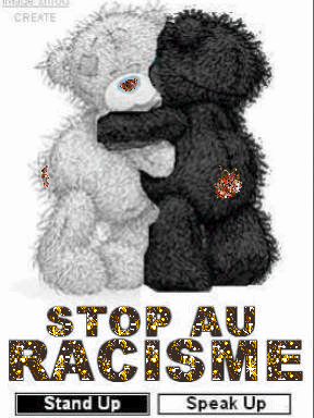 stap le racisme