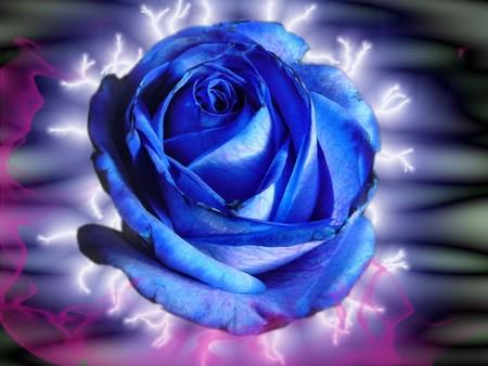 A TOUT MES AMIE