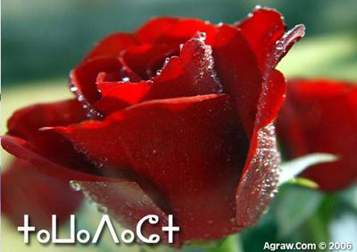 fleur de moi couer